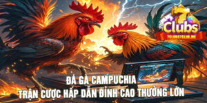 Đá Gà Campuchia Trận Cược Hấp Dẫn Đỉnh Cao Thưởng Lớn