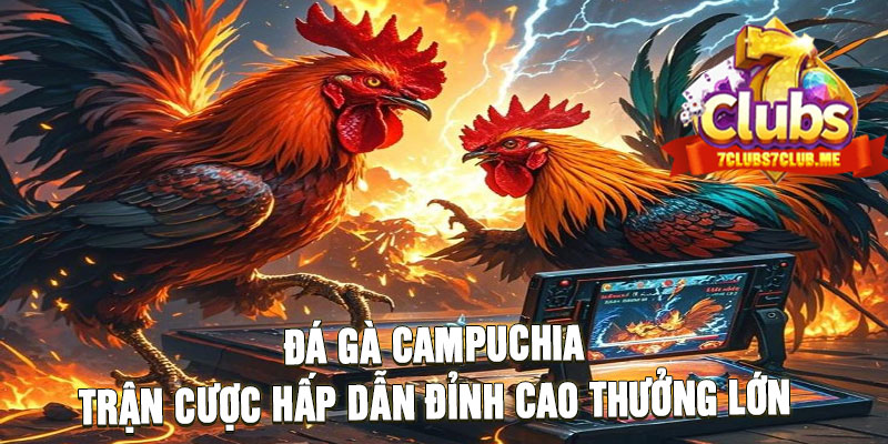 Đá Gà Campuchia Trận Cược Hấp Dẫn Đỉnh Cao Thưởng Lớn